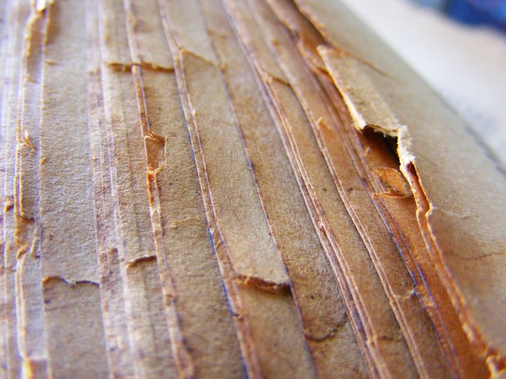 biblioteca 249 copy.jpg